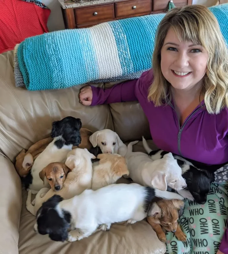 Amanda with fostered puppies path of hope rescue