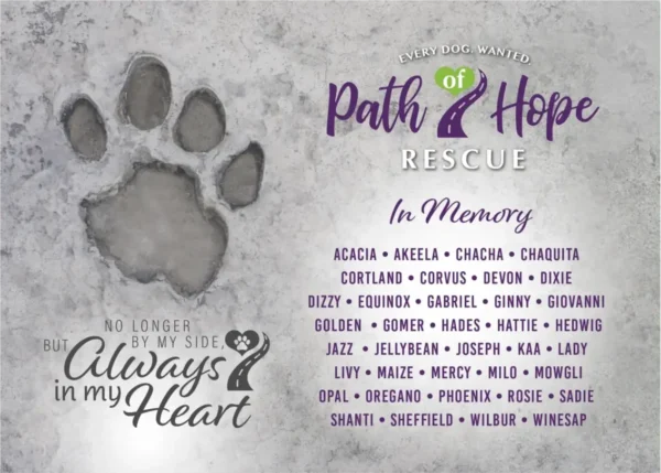 Pet Memorial Gift (T-Shirt & Postcard) - Image 4
