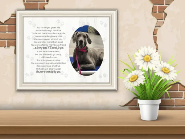 Pet Memorial Gift (T-Shirt & Postcard) - Image 5